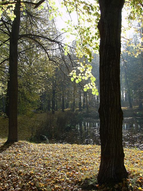 Park am Schloss Hermsdorf Sächsisches Elbland